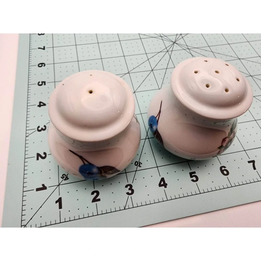 Vintage Ceramic Salt And‎ Pepper Shakers Hand Painted Blueberries Blooms China